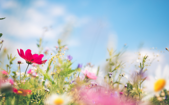 ¿Por qué aumentan los suicidios en primavera?