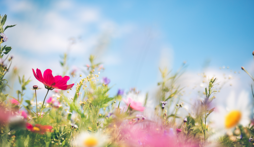 ¿Por qué aumentan los suicidios en primavera?